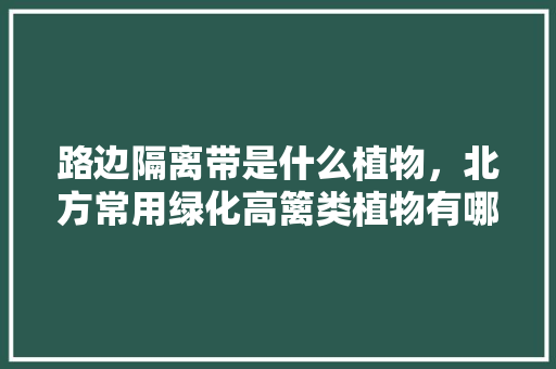 路边隔离带是什么植物，北方常用绿化高篱类植物有哪些。