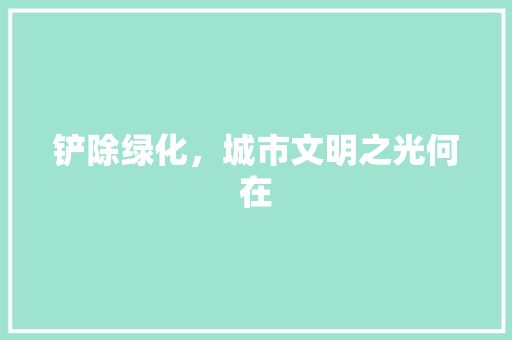 铲除绿化，城市文明之光何在
