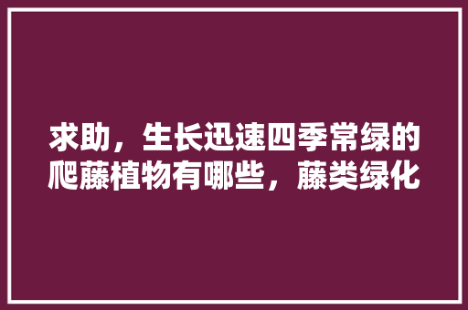 求助，生长迅速四季常绿的爬藤植物有哪些，藤类绿化造型图片。