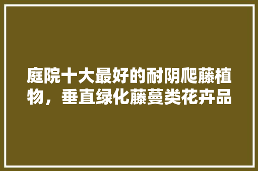 庭院十大最好的耐阴爬藤植物，垂直绿化藤蔓类花卉品种有哪些。  第1张 庭院十大最好的耐阴爬藤植物，垂直绿化藤蔓类花卉品种有哪些。 种植技术