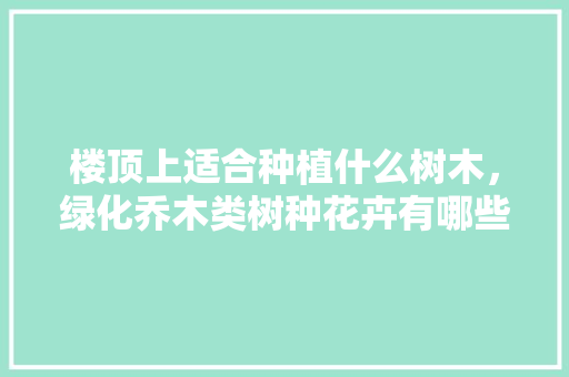 楼顶上适合种植什么树木，绿化乔木类树种花卉有哪些。  第1张 楼顶上适合种植什么树木，绿化乔木类树种花卉有哪些。 花卉百科