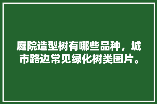庭院造型树有哪些品种，城市路边常见绿化树类图片。