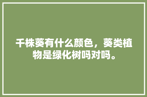 千株葵有什么颜色，葵类植物是绿化树吗对吗。