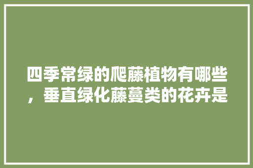 四季常绿的爬藤植物有哪些，垂直绿化藤蔓类的花卉是什么。