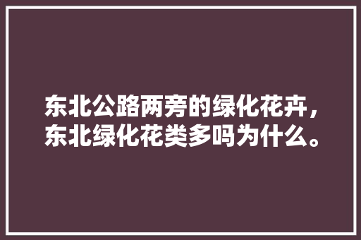 东北公路两旁的绿化花卉，东北绿化花类多吗为什么。