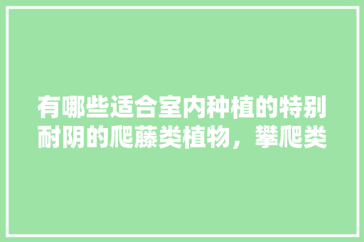 有哪些适合室内种植的特别耐阴的爬藤类植物，攀爬类植物绿化图片大全大图。