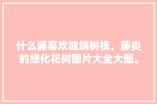 什么藤喜欢缠绕树枝，藤类的绿化花树图片大全大图。