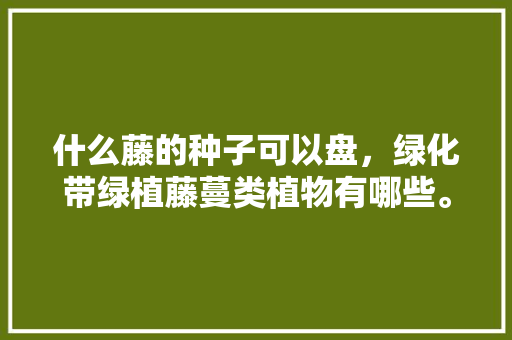 什么藤的种子可以盘，绿化带绿植藤蔓类植物有哪些。  第1张 什么藤的种子可以盘，绿化带绿植藤蔓类植物有哪些。 种植技术