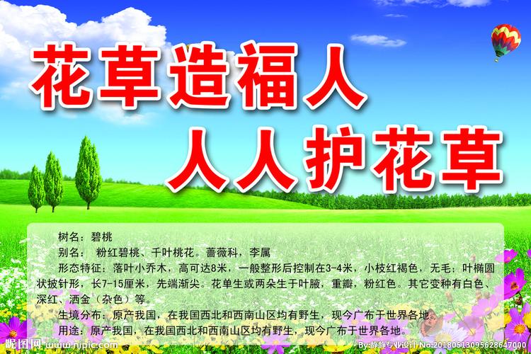 乡村绿化宣传标语，农村叫什么绿化树类名字好听。
