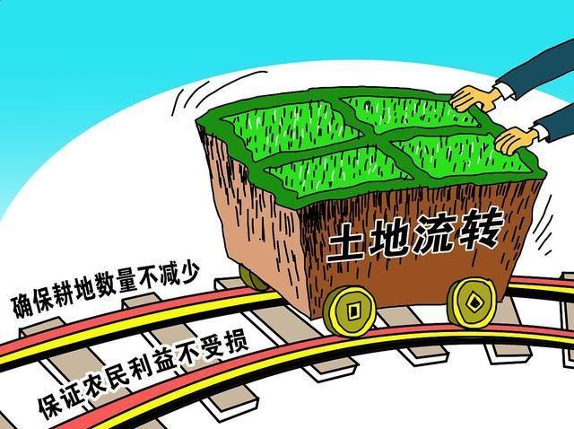山东农村实施合并，以后农民会怎么样，农民主要收入来源是什么，园林绿化分地类吗。