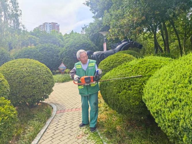 修剪艺术你觉得怎样，园林绿化视频教程。