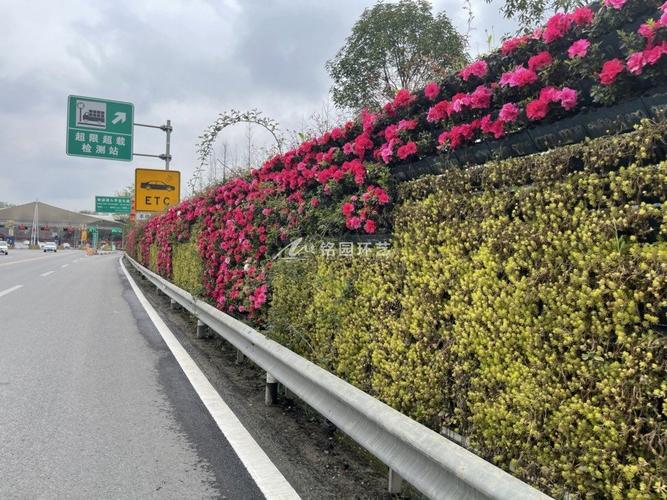 高速公路靠近边坡角的绿化叫啥子绿化，边坡绿化选择哪类植物好。