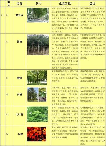 如何按照园林用途对园林树木进行分类，公园绿化的树种有多少类型。