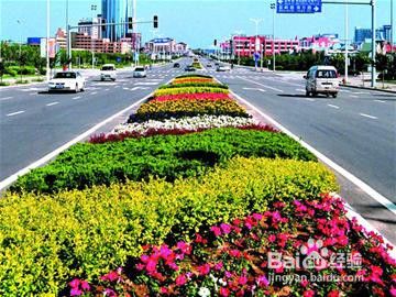 小区级道路绿化属于什么用地，道路绿化带属于什么地类类型。