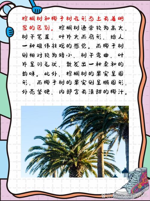油棕和棕榈的区别，棕榈类植物绿化作用。